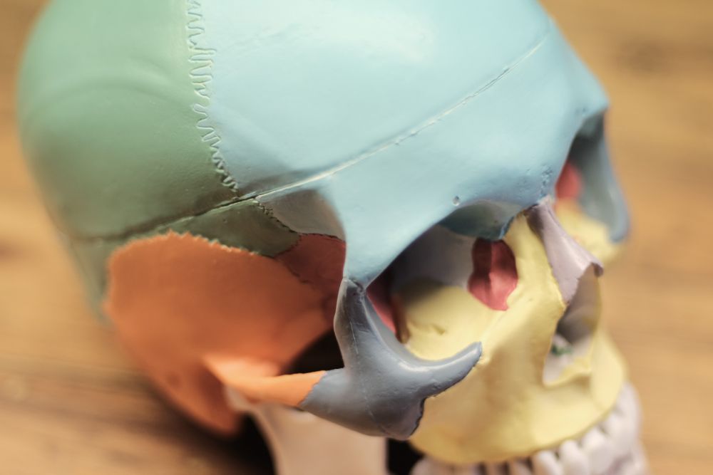 Craniosacrale Behandlung - Serena Noto - Berlin - Prenzlauer Berg