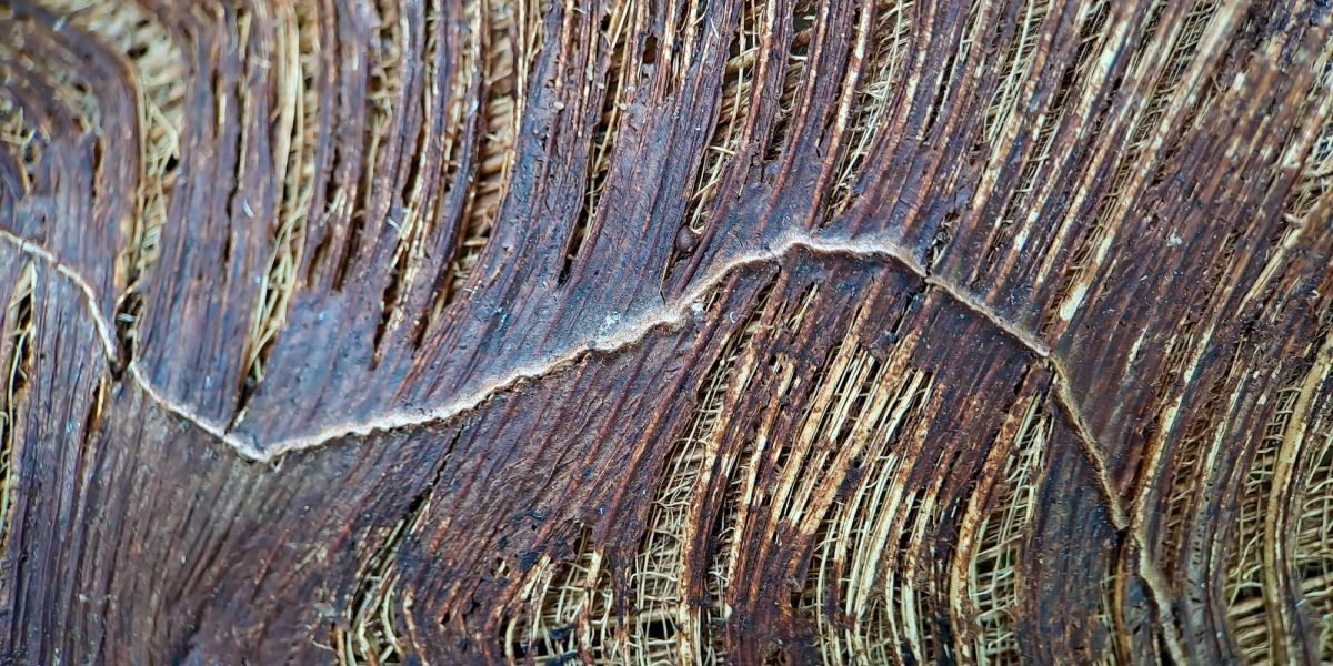 Myofasziale Therapie - Praxis für Osteopathie - Serena Noto - Berlin Prenzlauer Berg